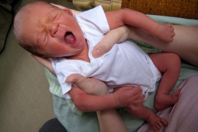 IMG_0702_2 (800x534)