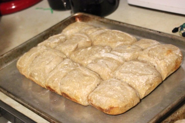 21 after flipping over (800x533)