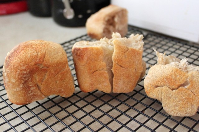 24 underside of well done roll (800x533)