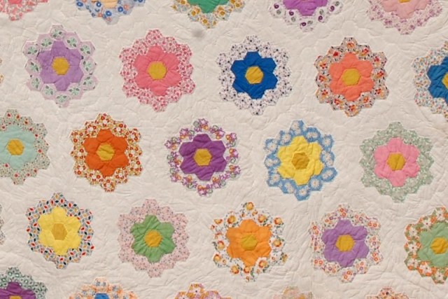 DSC_0643 - Copy (800x534)