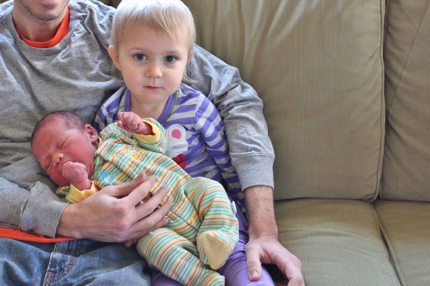 002 (800x533) - Copy